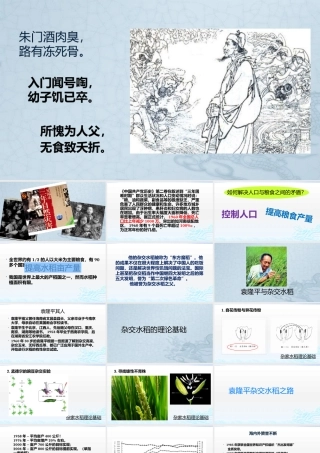 科学家的故事-袁隆平与杂交水稻