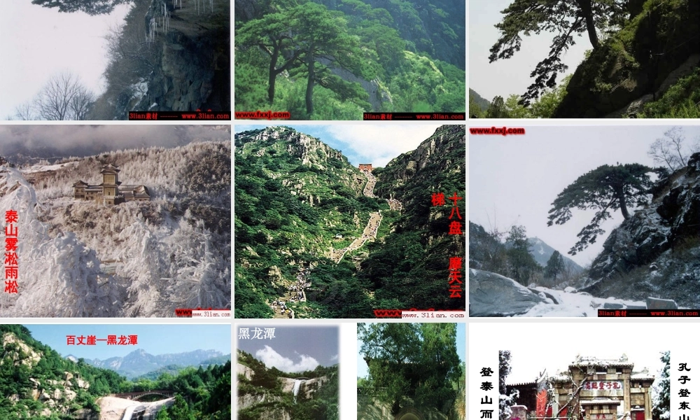 人教版高二语文登泰山记 课件