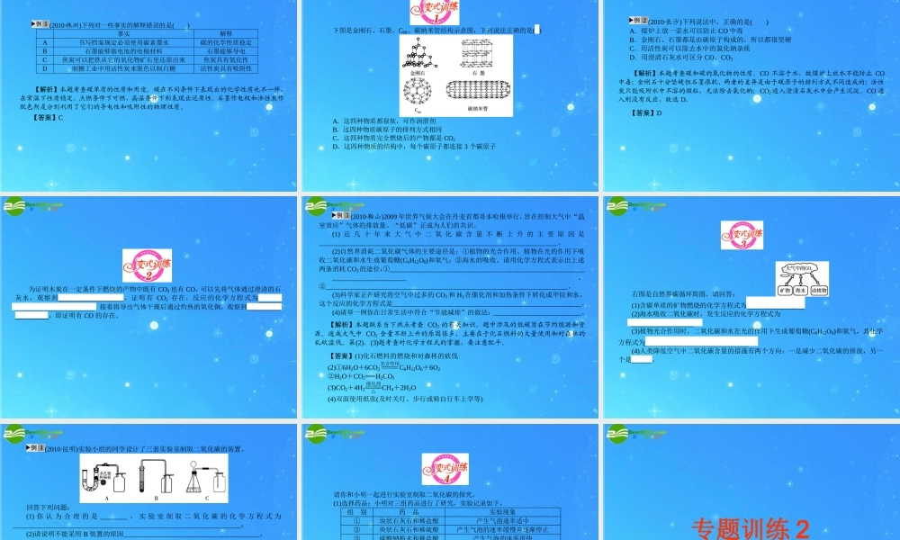 中考化学复习专题二 碳和碳的氧化物课件 人教新课标版 课件