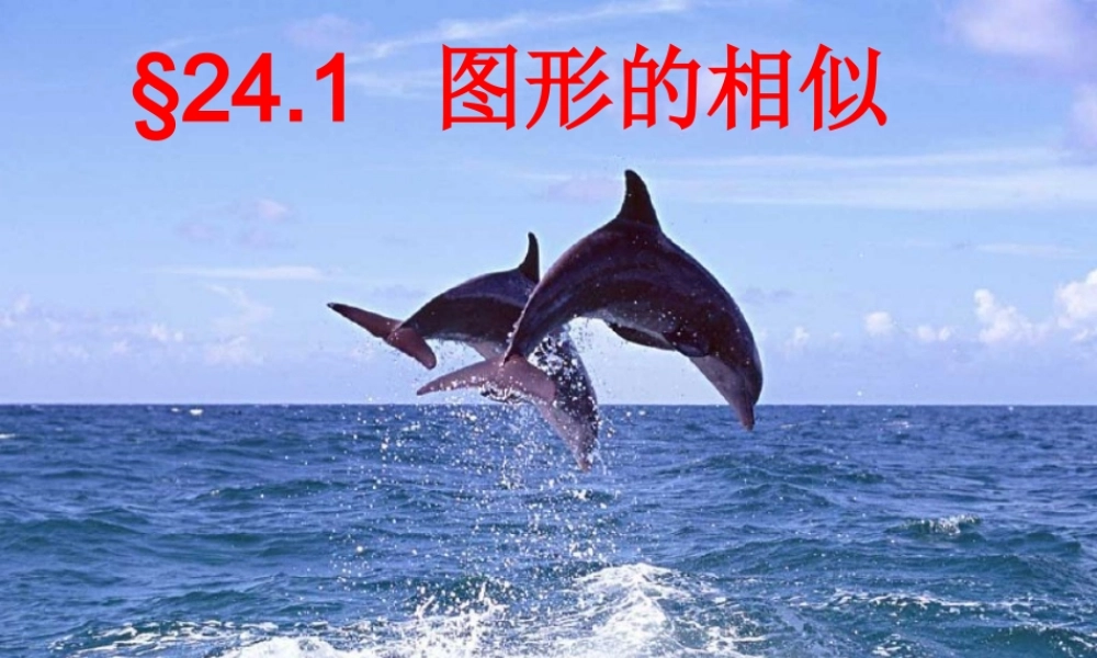 九年级数学图形的相似_相似图形的定义及性质课件