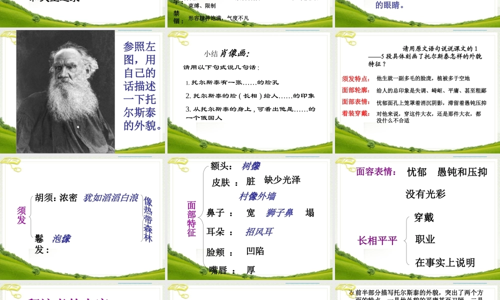 《列夫·托尔斯泰》参考课件3