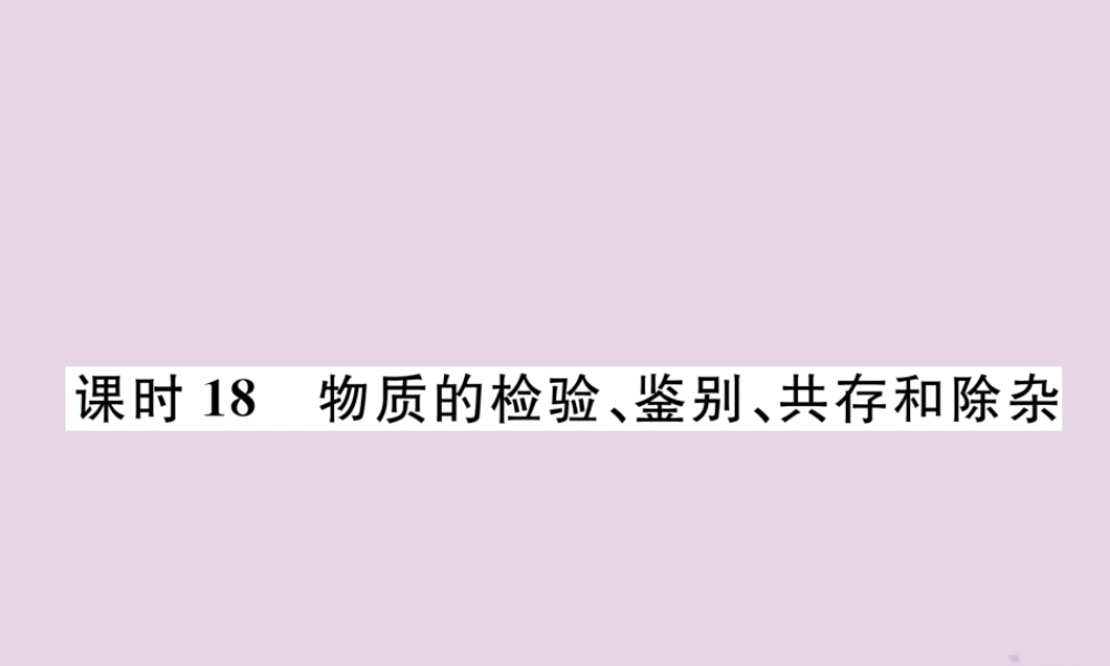 中考化学总复习 第1编 主题复习 模块5 科学探究 课时18 物质的检验、鉴别、共存和除杂(精练)课件