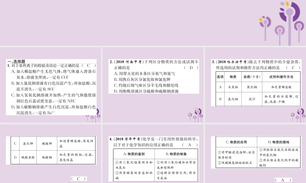 中考化学总复习 第1编 主题复习 模块5 科学探究 课时18 物质的检验、鉴别、共存和除杂(精练)课件