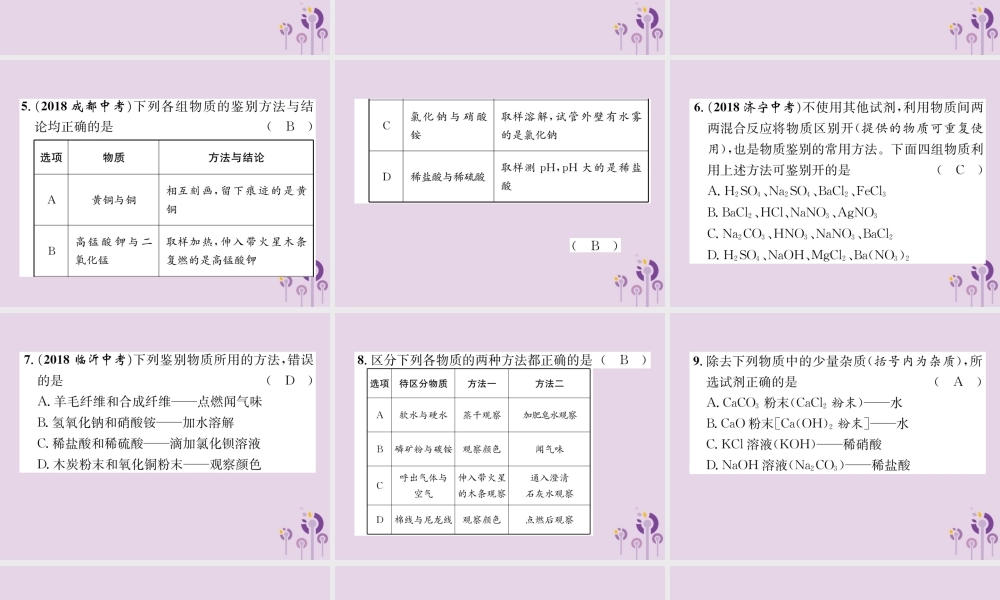 中考化学总复习 第1编 主题复习 模块5 科学探究 课时18 物质的检验、鉴别、共存和除杂(精练)课件