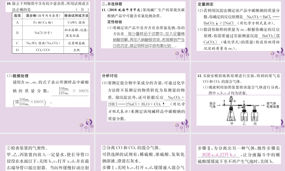 中考化学总复习 第1编 主题复习 模块5 科学探究 课时18 物质的检验、鉴别、共存和除杂(精练)课件