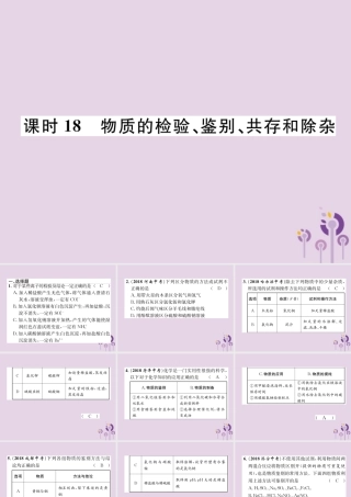 中考化学总复习 第1编 主题复习 模块5 科学探究 课时18 物质的检验、鉴别、共存和除杂(精练)课件