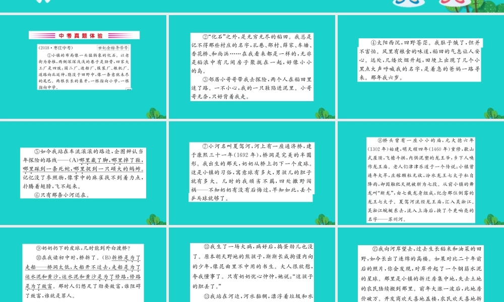 八年级语文下册 第五单元 水经过丽江习题课件 新人教版 课件