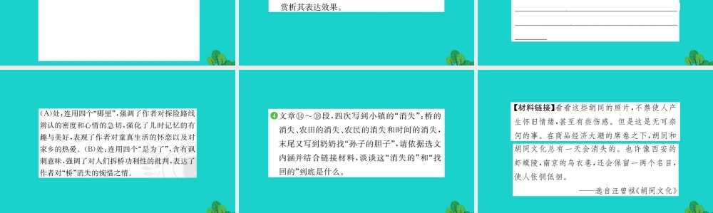 八年级语文下册 第五单元 水经过丽江习题课件 新人教版 课件