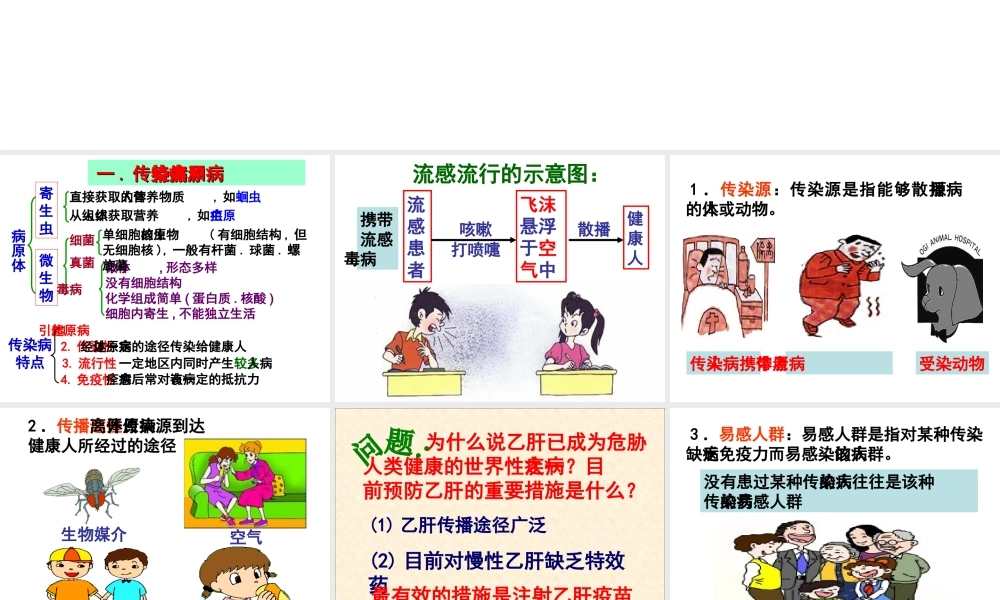 传染和免疫(复习)