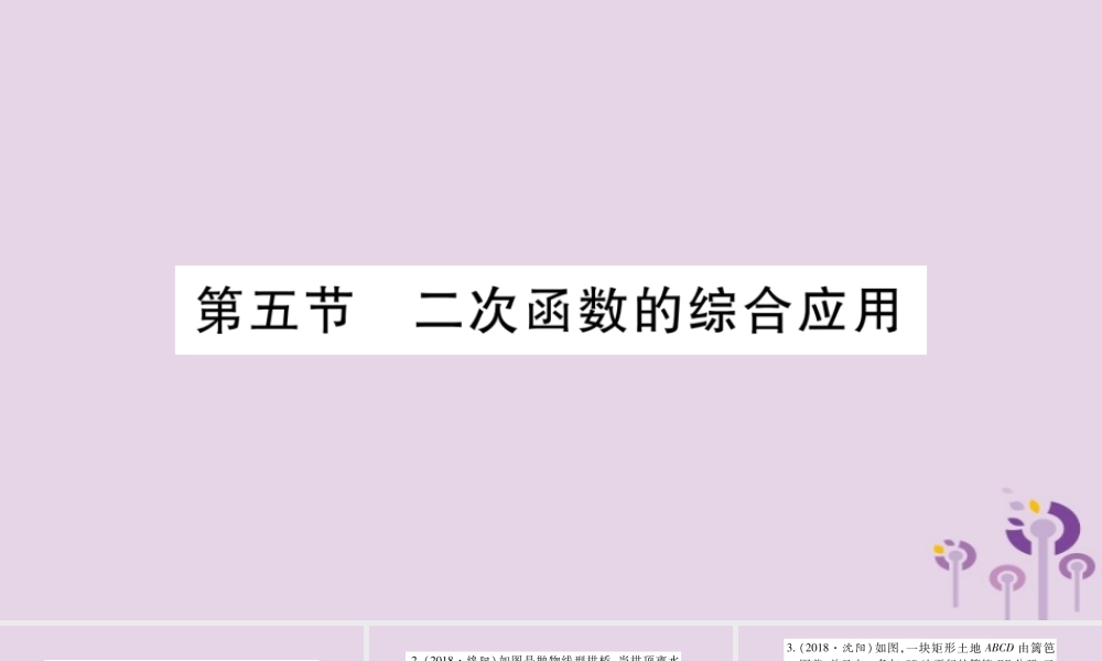 中考数学复习 第一轮 考点系统复习 第3章 函数 第5节 二次函数的综合应用习题课件