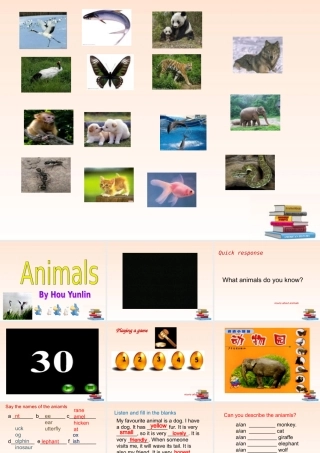 九年级英语上册 教材中关于动物词汇的课件 牛津译林版 课件
