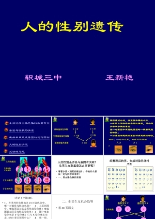 性别遗传课件