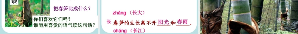 《春笋》讲课课件