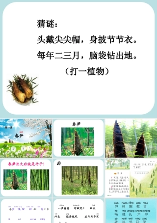 《春笋》讲课课件