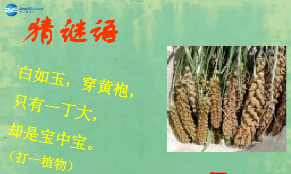 中学秋七年级历史上册 第2课 原始的农耕生活课件 (新版)新人教版 课件