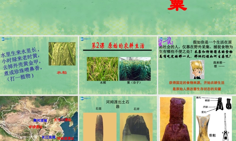 中学秋七年级历史上册 第2课 原始的农耕生活课件 (新版)新人教版 课件