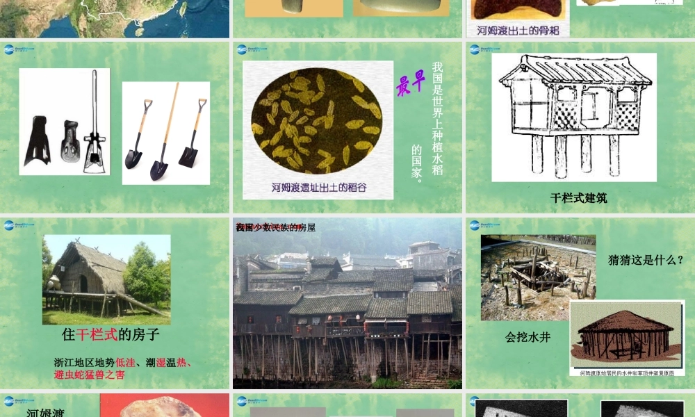 中学秋七年级历史上册 第2课 原始的农耕生活课件 (新版)新人教版 课件