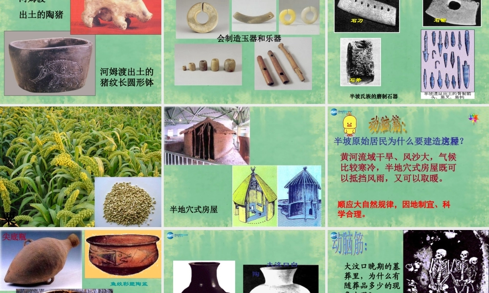 中学秋七年级历史上册 第2课 原始的农耕生活课件 (新版)新人教版 课件