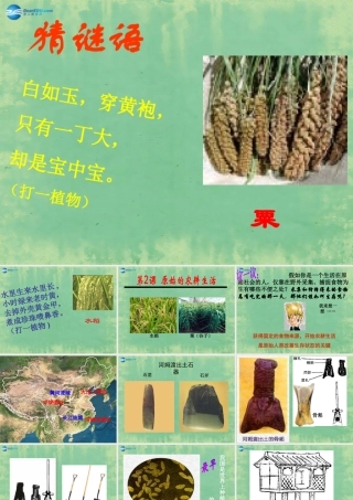 中学秋七年级历史上册 第2课 原始的农耕生活课件 (新版)新人教版 课件