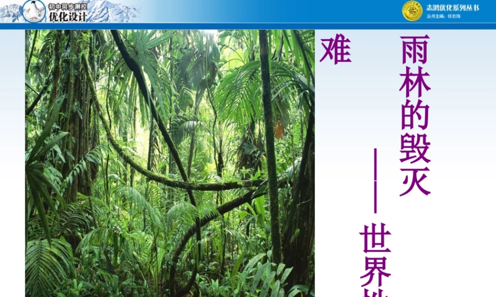 雨林的毁灭课件