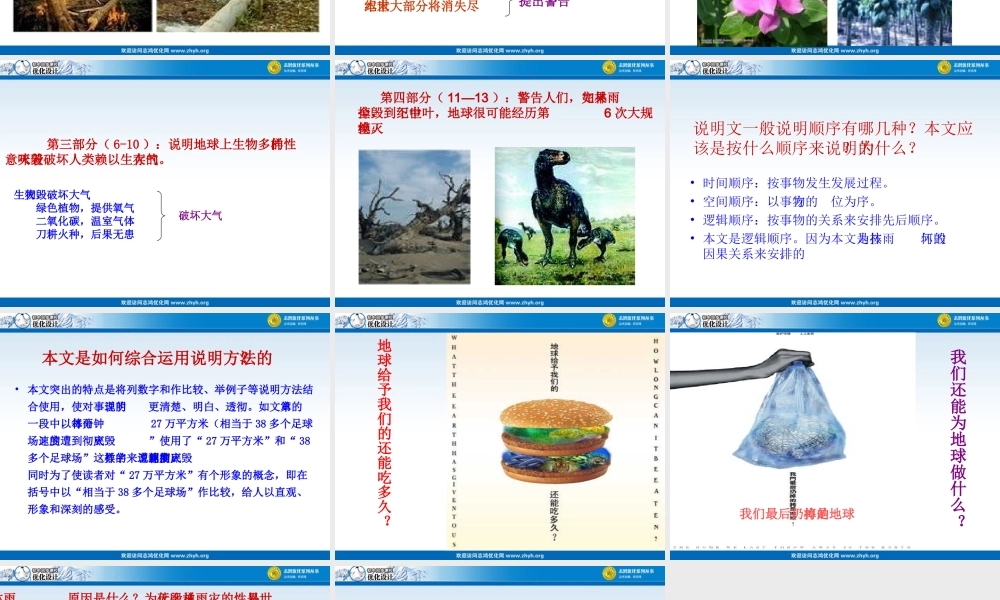 雨林的毁灭课件