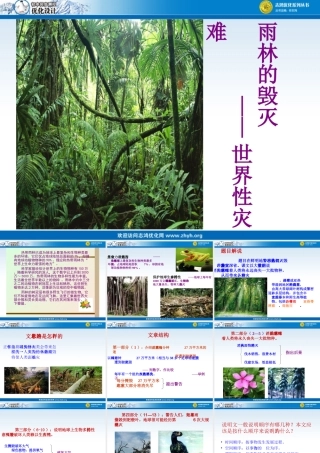 雨林的毁灭课件