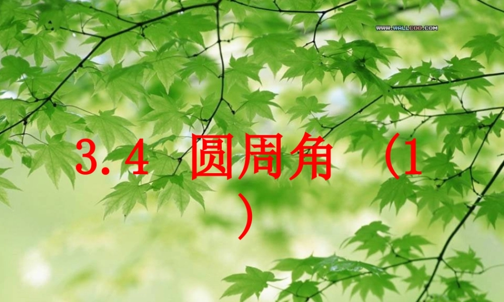 圆周角定理演示文稿