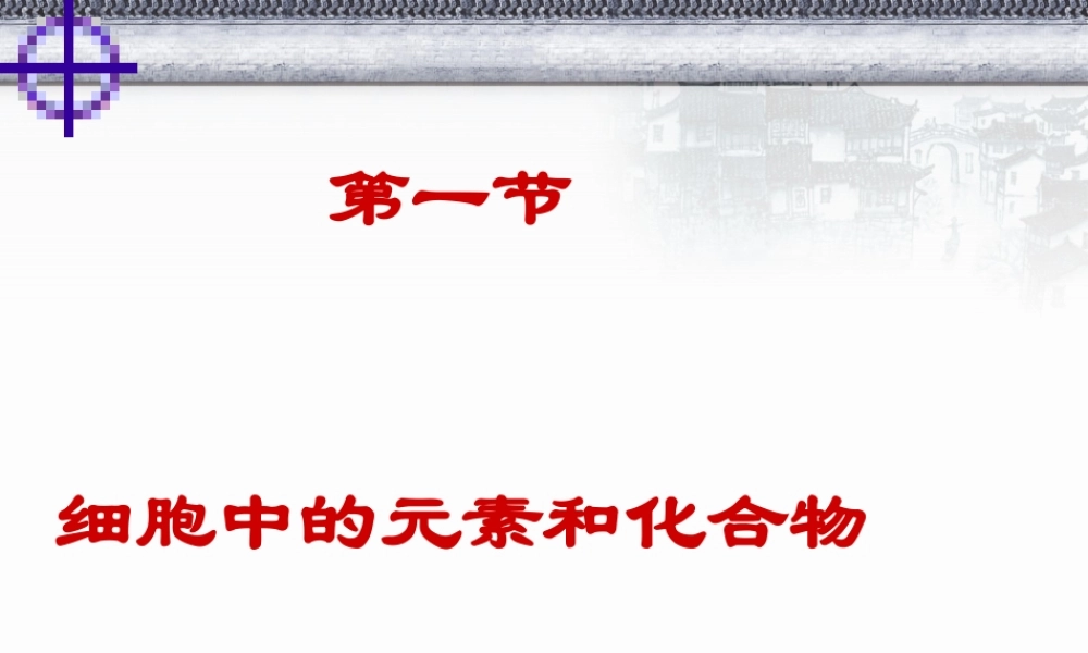 细胞中的元素和化合物PPT