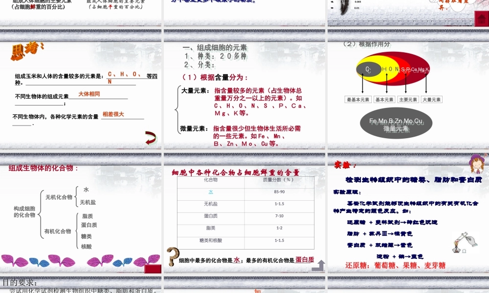 细胞中的元素和化合物PPT