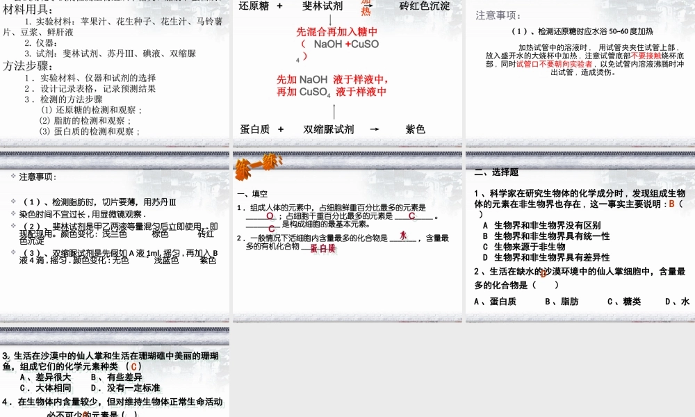 细胞中的元素和化合物PPT