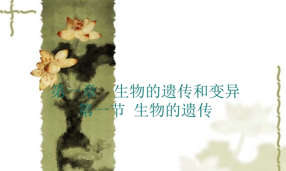 八年级生物生物的遗传和变异 课件2新人教版 课件