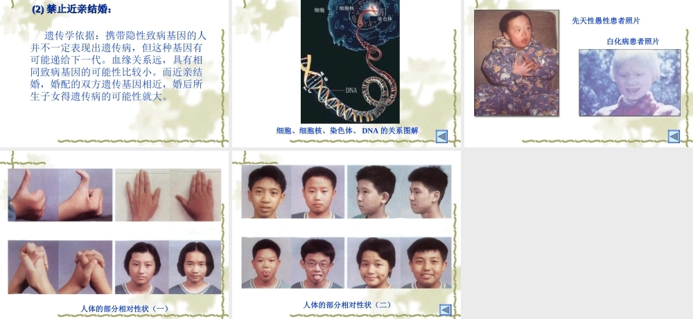 八年级生物生物的遗传和变异 课件2新人教版 课件