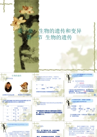 八年级生物生物的遗传和变异 课件2新人教版 课件