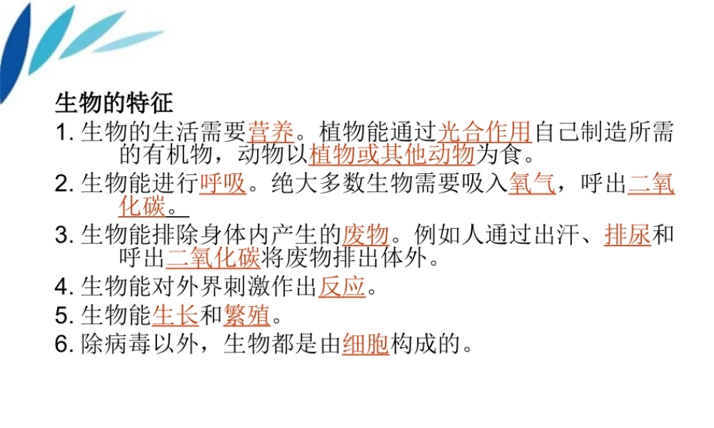 七年级生物第一学期期中复习课件 人教新课标版 课件