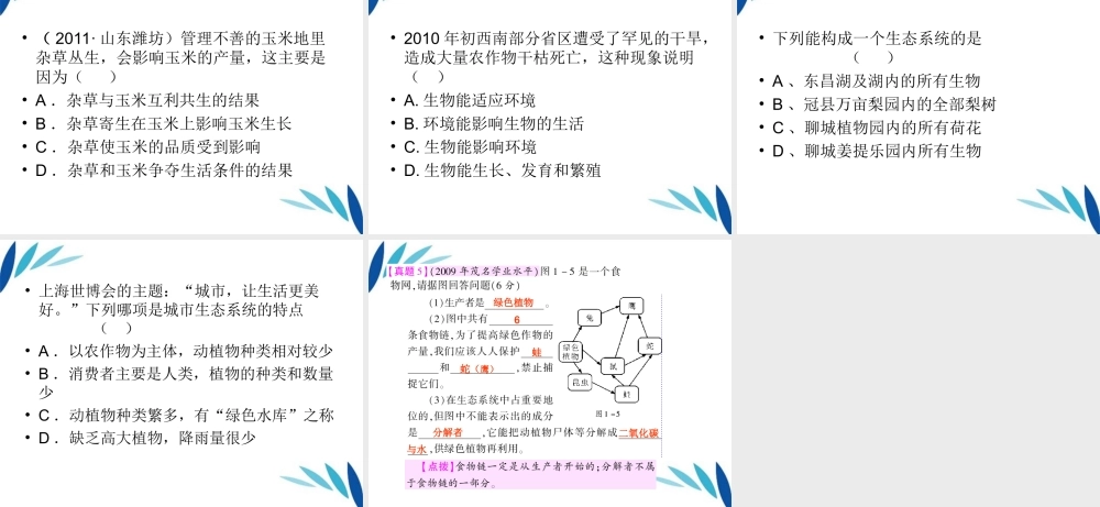 七年级生物第一学期期中复习课件 人教新课标版 课件