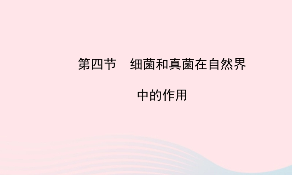 八年级生物上册 第五单元 第四章 第四节 细菌和真菌在自然界中的作用课件 (新版)新人教版 课件