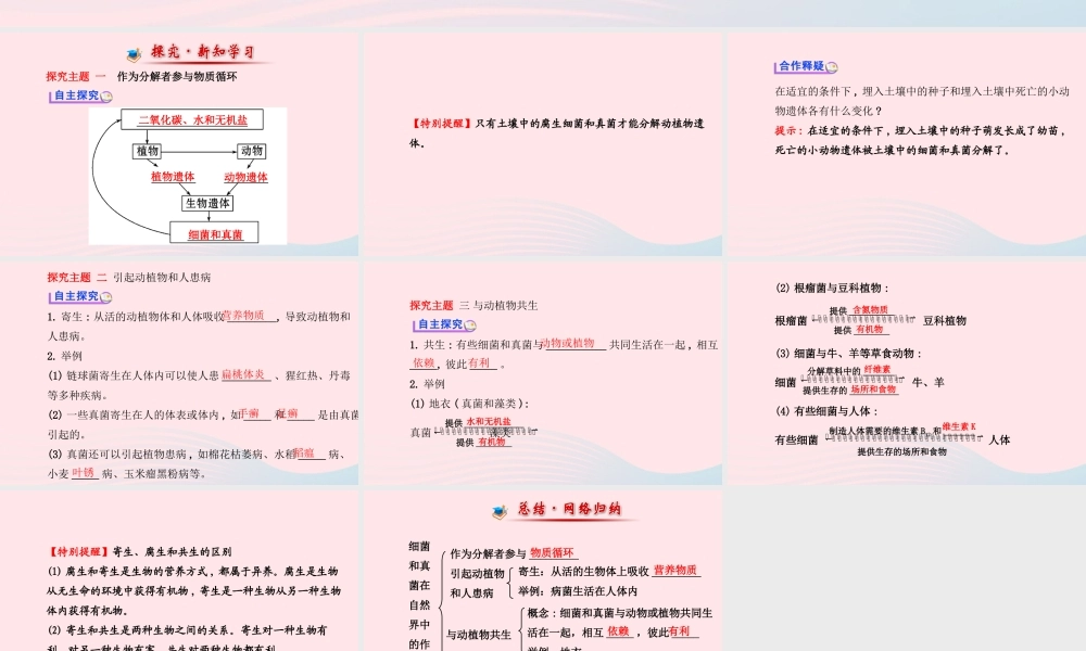 八年级生物上册 第五单元 第四章 第四节 细菌和真菌在自然界中的作用课件 (新版)新人教版 课件