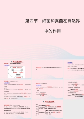 八年级生物上册 第五单元 第四章 第四节 细菌和真菌在自然界中的作用课件 (新版)新人教版 课件