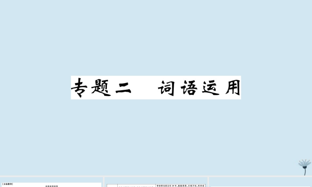 九年级语文上册 专题二 词语运用作业课件 新人教版 课件