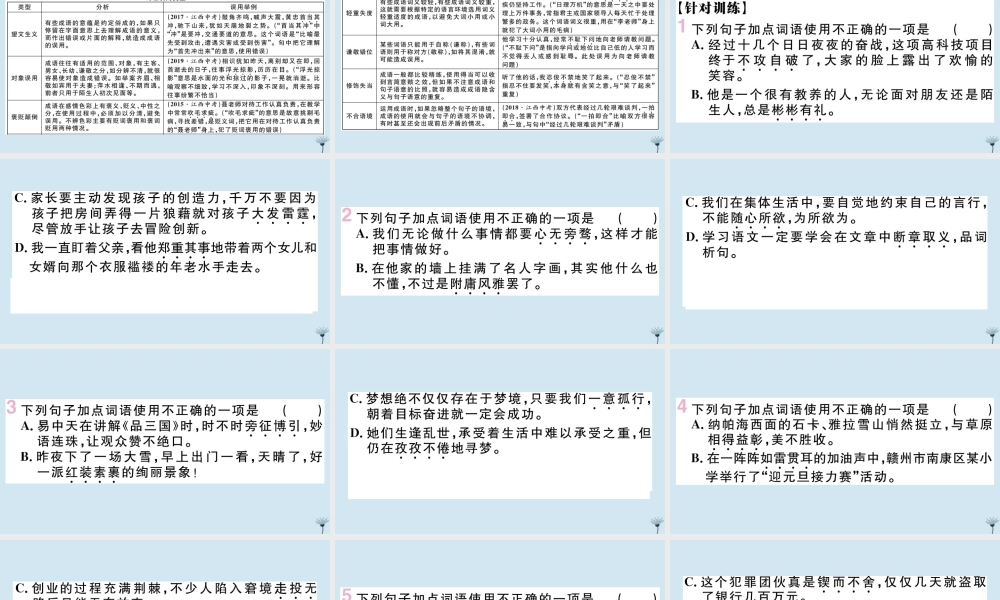 九年级语文上册 专题二 词语运用作业课件 新人教版 课件