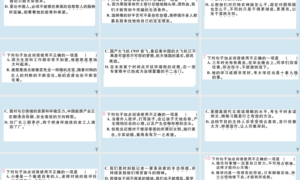 九年级语文上册 专题二 词语运用作业课件 新人教版 课件