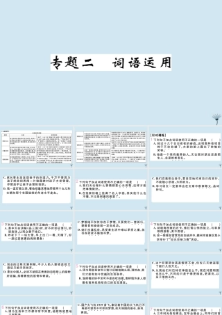 九年级语文上册 专题二 词语运用作业课件 新人教版 课件
