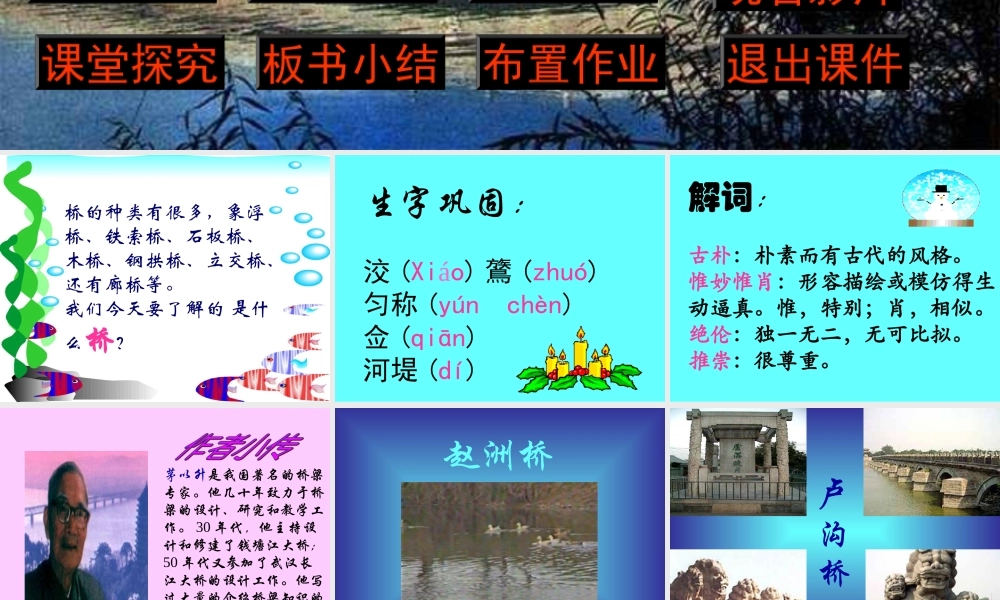 七年级语文下册 (中国石拱桥)课件(三) 鲁教版 课件