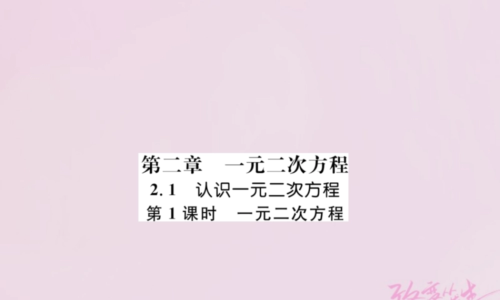 九年级数学上册 21 认识一元二次方程 第1课时 一元二次方程练习课件 (新版)北师大版 课件