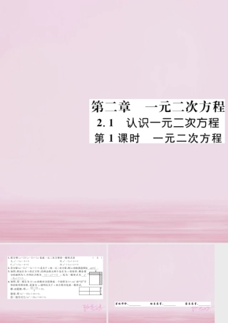 九年级数学上册 21 认识一元二次方程 第1课时 一元二次方程练习课件 (新版)北师大版 课件
