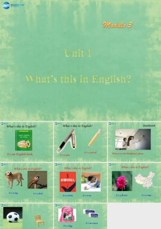 七年级英语上册 Starter Module 3 Unit 1 What s this in English？课件 (新版)外研版 课件