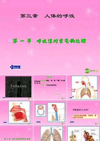 七年级生物下册 肺的通气课件 人教新课标版 课件