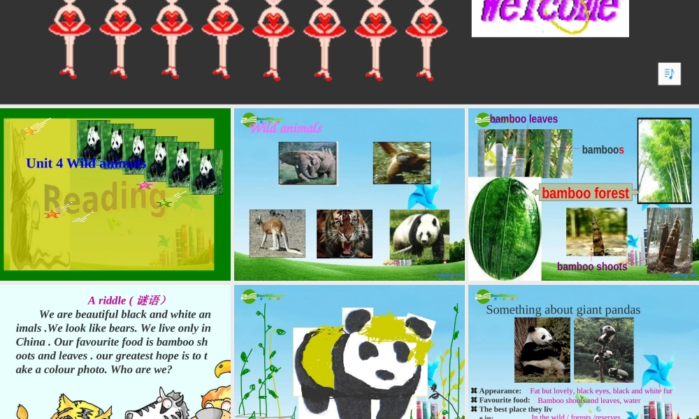 八年级英语上册 Unit4 Reading课件 牛津版 课件