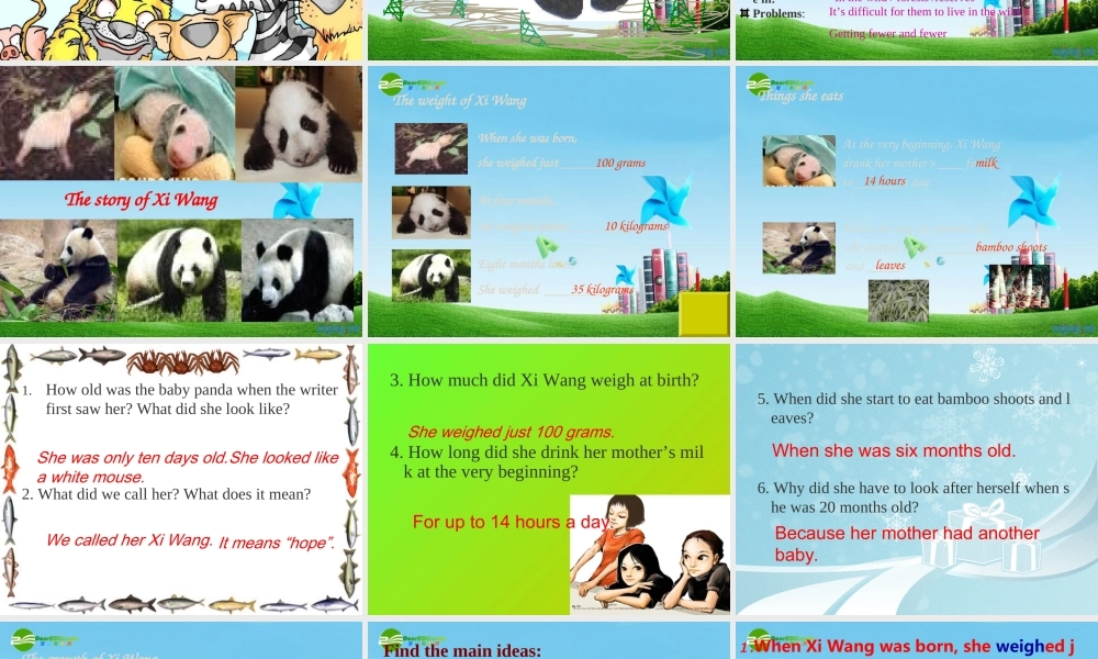 八年级英语上册 Unit4 Reading课件 牛津版 课件