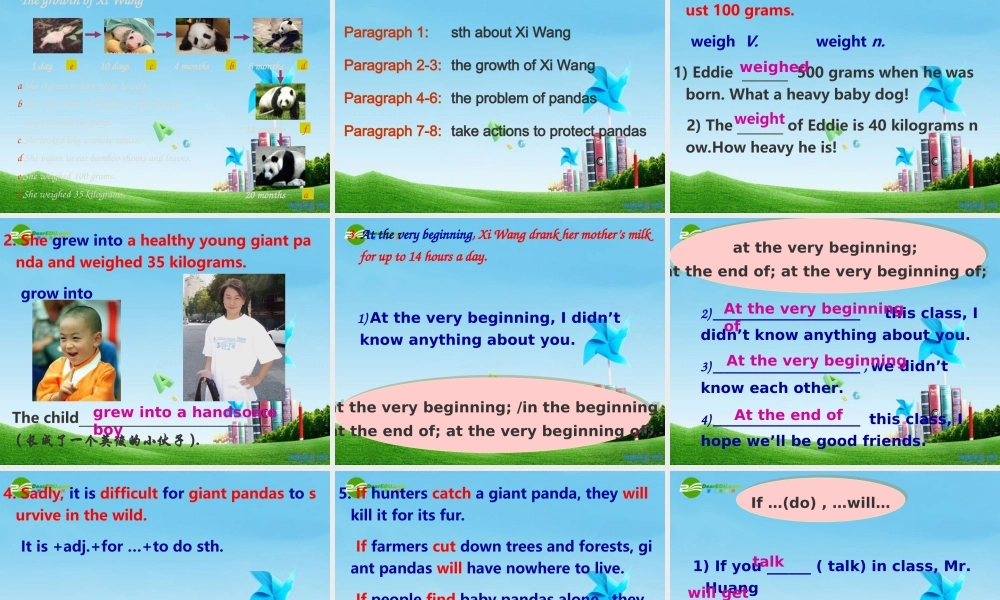 八年级英语上册 Unit4 Reading课件 牛津版 课件